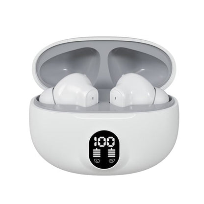 Professional Display Earbuds