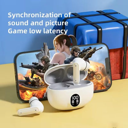 Professional Display Earbuds